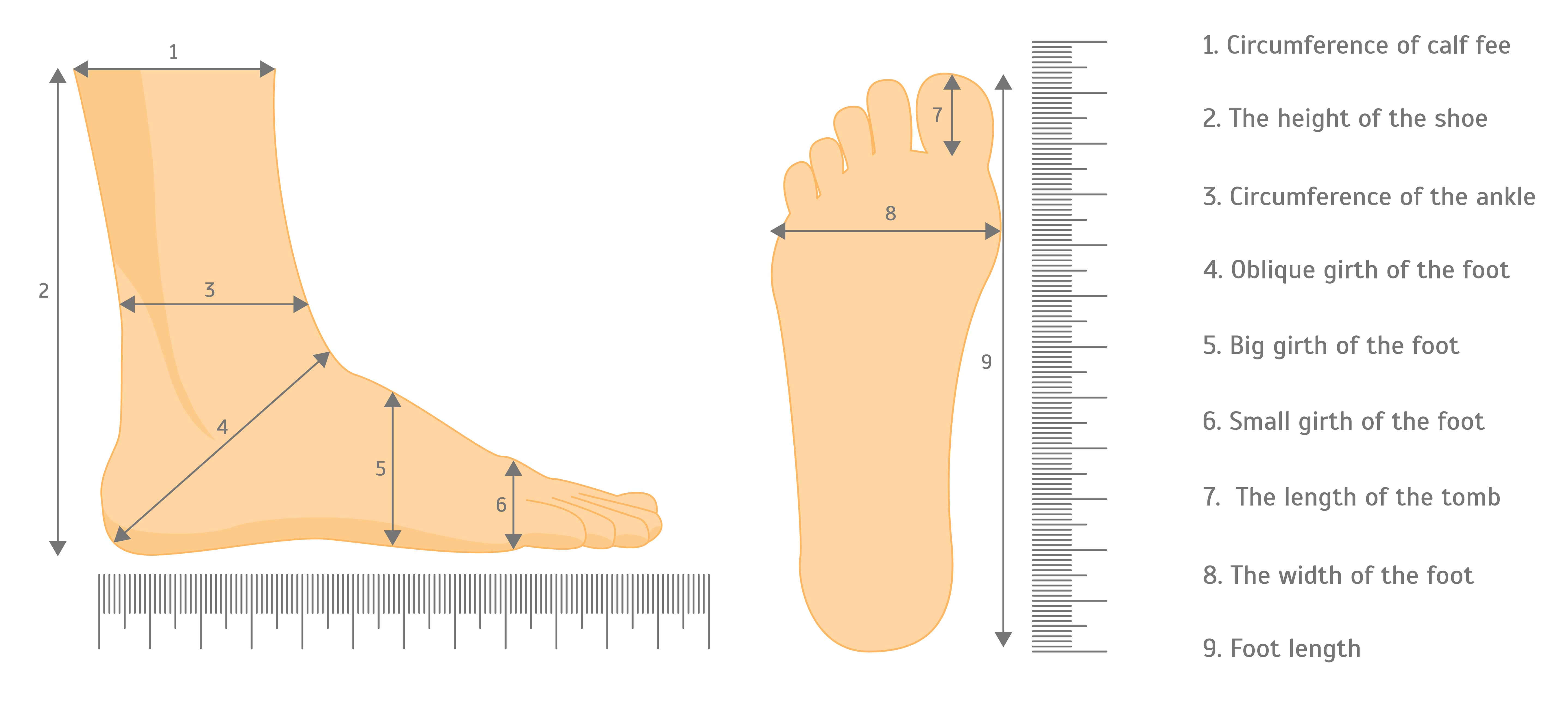 Best Way To Measure Your Feet